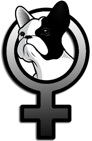 Francia Bulldog szuka kutya