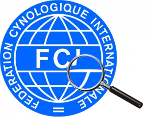 FCI Etikai kódex
